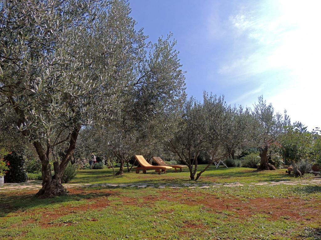 Apartments Marinovic Brzac المظهر الخارجي الصورة
